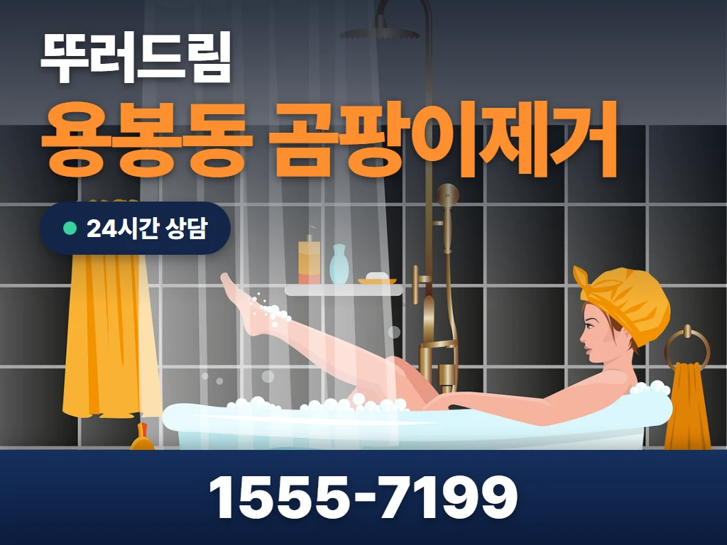 용봉동 곰팡이제거 현장