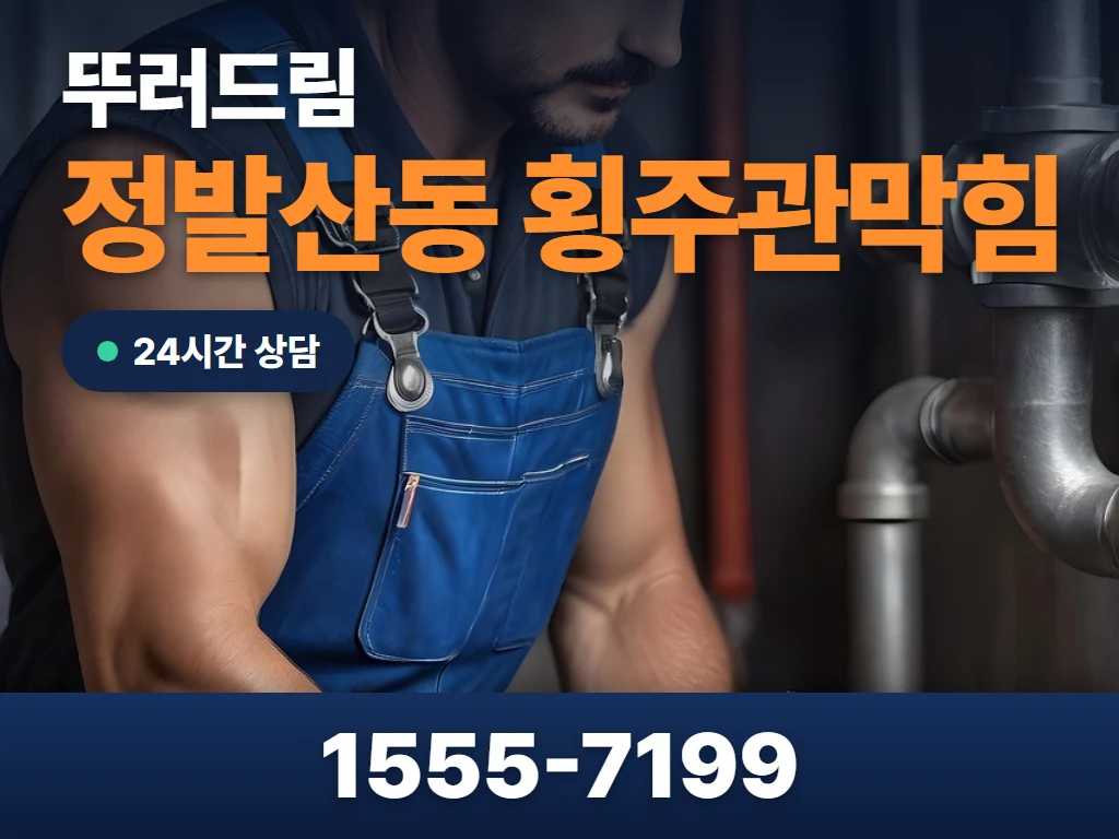 정발산동 횡주관막힘 현장