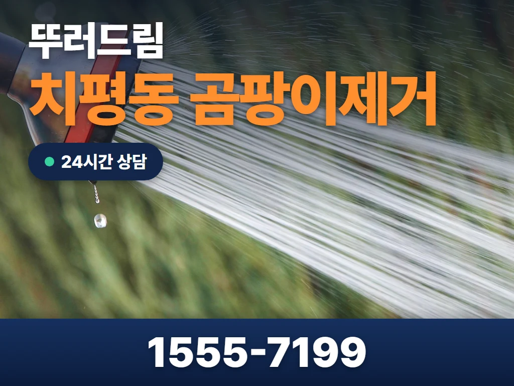 치평동 곰팡이제거 현장