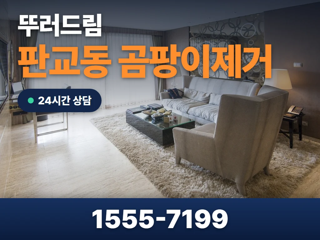 판교동 곰팡이제거 현장